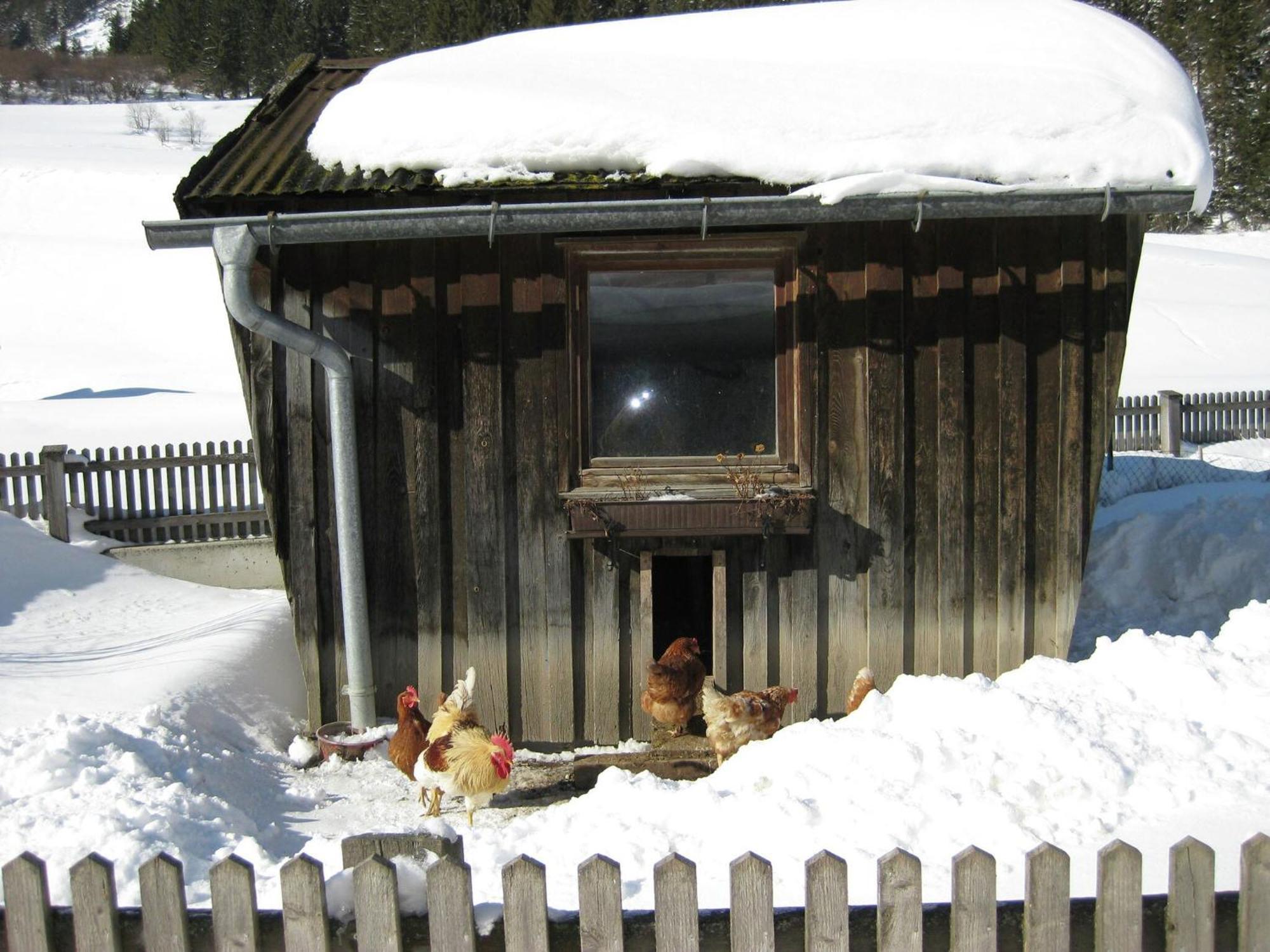Apartment Near The Arlberg Ski Area Pettneu am Arlberg Esterno foto